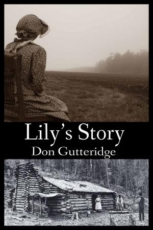 Cover of the book Lily's Story by Tony Aspler