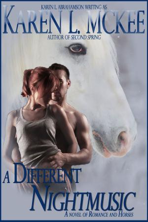 bigCover of the book A Different Nightmusic by 