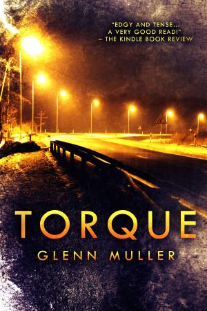 Cover of the book Torque by Mel Goldberg