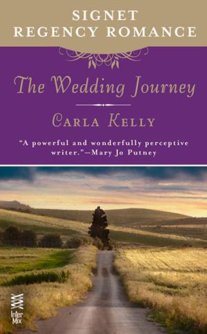 Cover of the book The Wedding Journey by Damien Echols, Lorri Davis