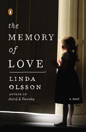 Book cover of The Memory of Love