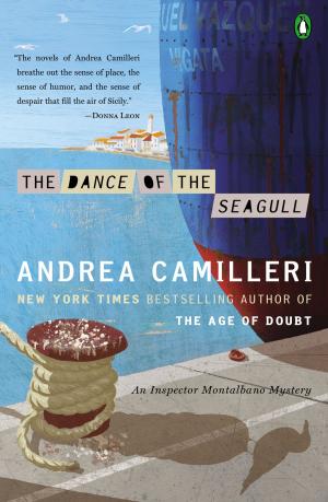 Cover of the book The Dance of the Seagull by Garrison Keillor