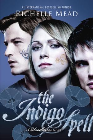 Cover of the book The Indigo Spell by Amanda Ashby