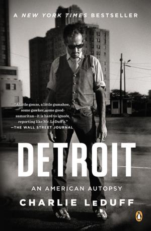 Cover of the book Detroit by Francois Lelord