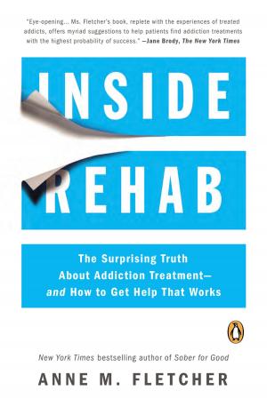 Cover of the book Inside Rehab by Camilla Way