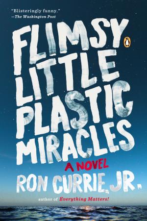 Cover of the book Flimsy Little Plastic Miracles by Julie Hyzy