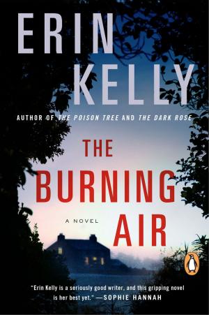 Cover of the book The Burning Air by Chantal Sicile-Kira