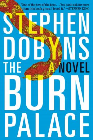 Cover of the book The Burn Palace by Allison Dickson