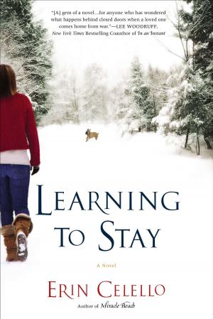Cover of the book Learning to Stay by Earlene Fowler