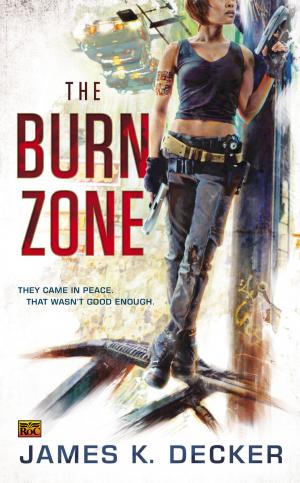 Cover of the book The Burn Zone by Jessica Fletcher, Donald Bain