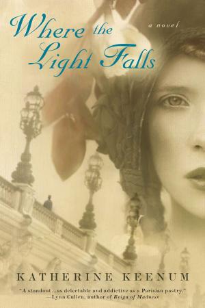 Cover of the book Where the Light Falls by Shirley Jump