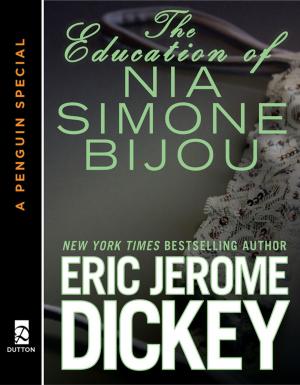 bigCover of the book The Education of Nia Simone Bijou by 