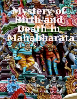 Book cover of Mystery of Birth and Death in Mahabharata