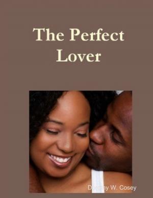 Cover of the book The Perfect Lover by Thomas R. Feller