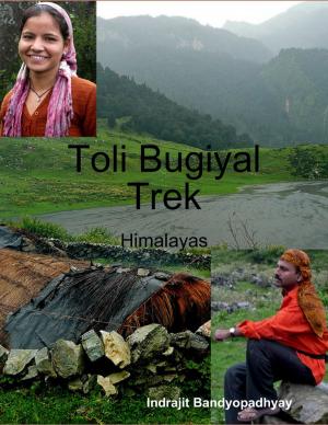 Cover of the book Toli Bugiyal Trek: Himalayas by Candace Blaney