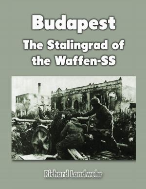 Cover of the book Budapest: The Stalingrad of the Waffen-SS by Jeff Bagato