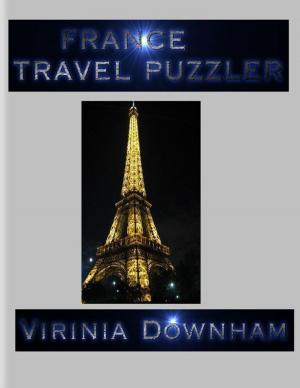 Cover of the book France Travel Puzzler by John Burnett