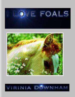 Cover of the book I Love Foals by Lucia Luveker