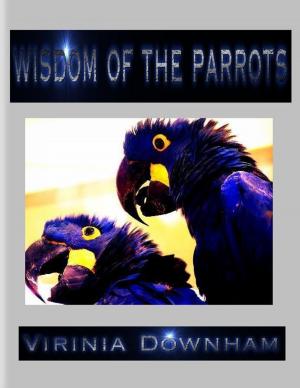Cover of the book Wisdom of the Parrots by Ian Black