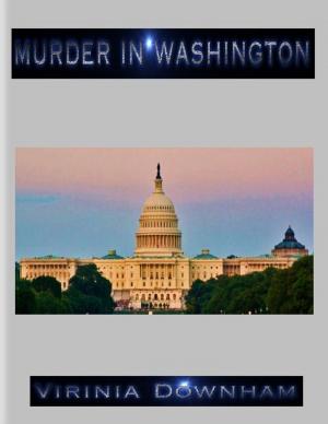 Cover of the book Murder in Washington by Phil West