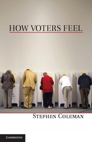 Cover of the book How Voters Feel by John Cottingham