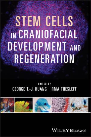 Cover of the book Stem Cells in Craniofacial Development and Regeneration by Wilhelm W. Kecs, Antonela Toma, Petre Teodorescu