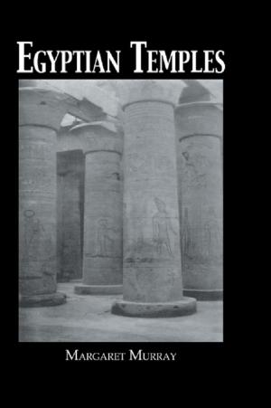 Cover of the book Egyptian Temple by Daniel Sipe