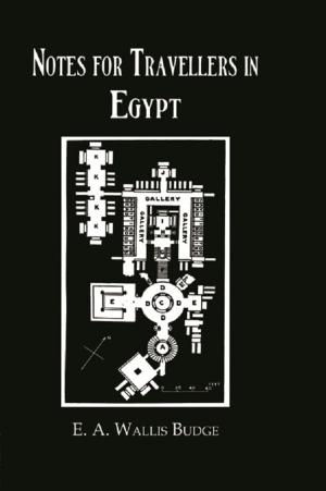 Cover of the book Notes For Travellers In Egypt by Liz Crolley, David Hand