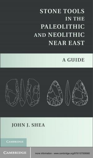 Cover of the book Stone Tools in the Paleolithic and Neolithic Near East by Piet de Jong, Gillian Z. Heller