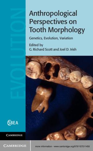Cover of the book Anthropological Perspectives on Tooth Morphology by George E. Heimpel, Nicholas J. Mills