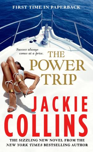 Cover of the book The Power Trip by Jennifer Laam