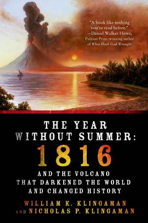 Cover of the book The Year Without Summer by Vickie L. Bane