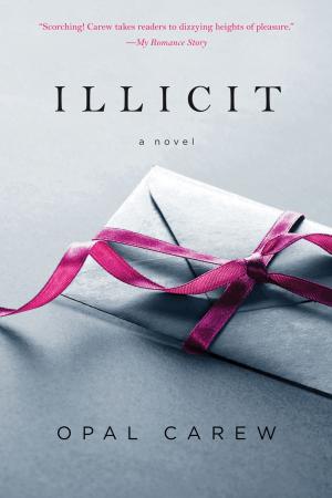 Cover of the book Illicit by James Hime