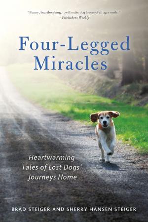 Cover of the book Four-Legged Miracles by Stephanie Gallagher