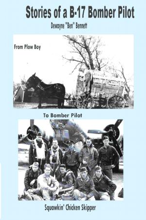 Cover of the book Stories of a B-17 Bomber Pilot by Steve Colburne, Malibu Publishing