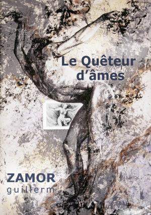 Cover of the book Le Quêteur d'âmes by Iris Barratt