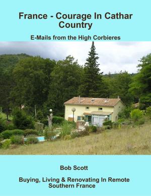 Cover of the book France - Courage In Cathar Country: E-Mails from the High Corbieres by Daniel Zimmermann
