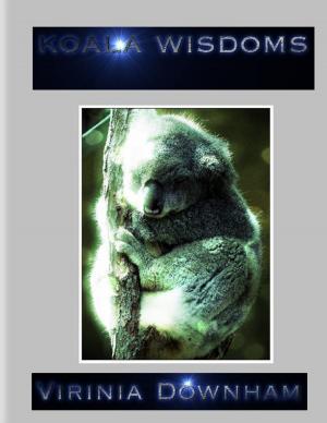 Book cover of Koala Wisdoms