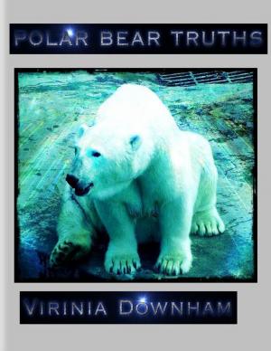 Book cover of Polar Bear Truths