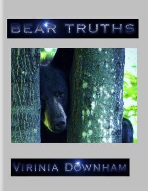 Cover of the book Bear Truths by Justine Camacho - Tajonera