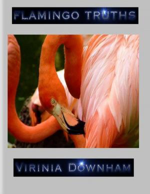 Cover of the book Flamingo Truths by Deidre Suttles