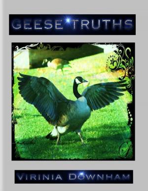Cover of the book Geese Truths by Jeffrey Lyons
