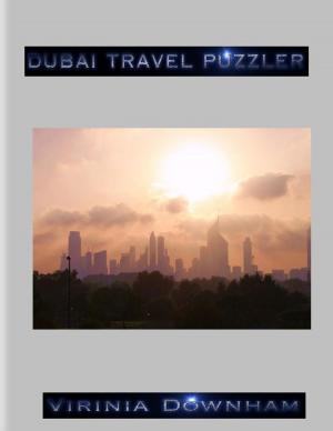Book cover of Dubai Travel Puzzler