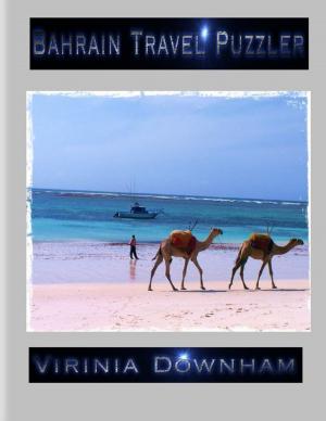 Book cover of Bahrain Travel Puzzler
