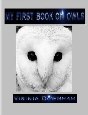 Cover of My First Book on Owls by Virinia Downham, Lulu.com