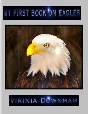 Cover of the book My First Book on Eagles by Austyn Chance