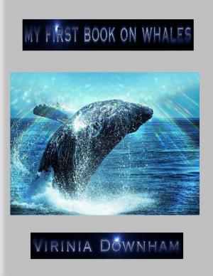 Cover of the book My First Book on Whales by Igor Kryan