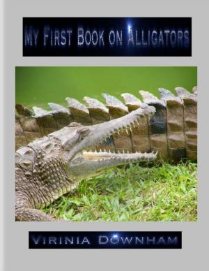 Cover of the book My First Book on Alligators by Deidre Suttles