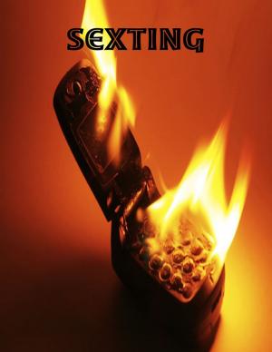Cover of the book Sexting by Rod Polo