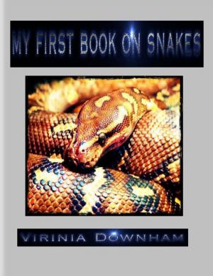 Cover of the book My First Book on Snakes by Christie Nortje